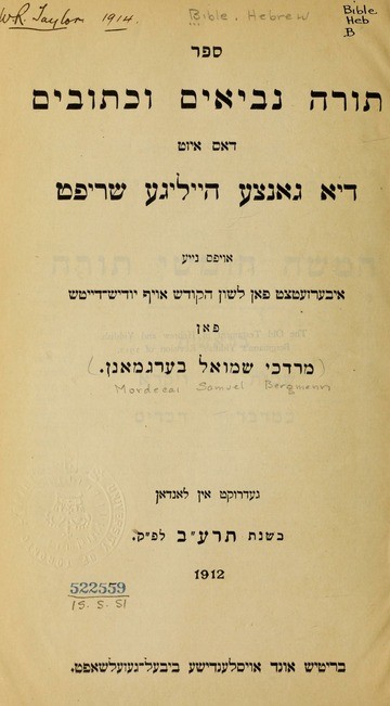 Portrait of Mordechai Samuel Bergmann